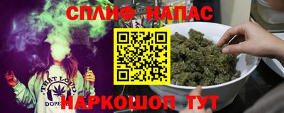 крисы Пенза