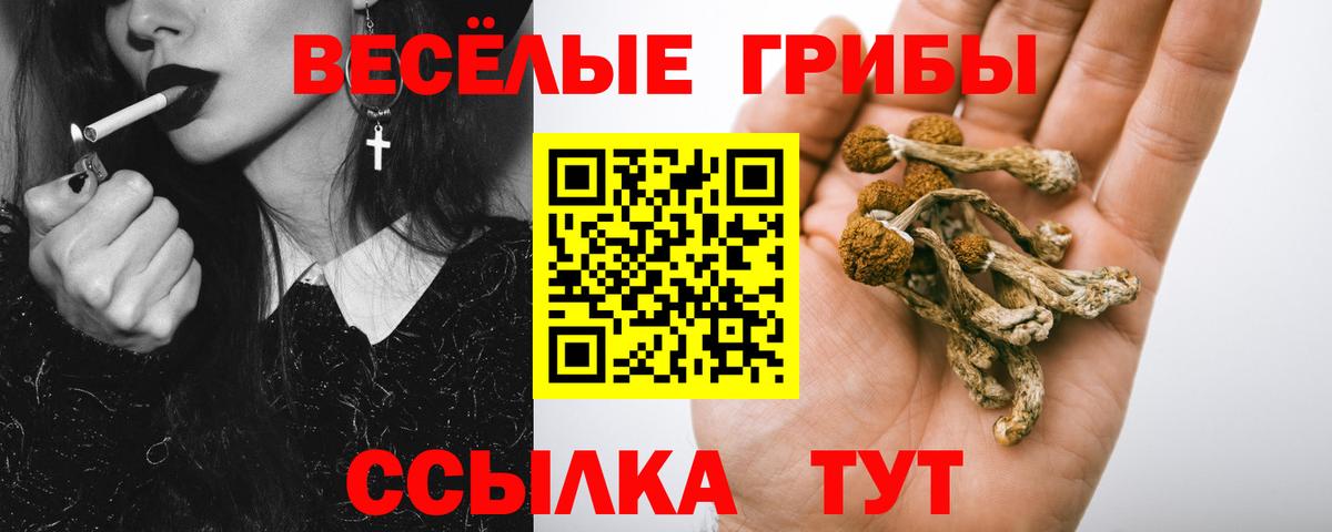 Галлюциногенные грибы Psilocybe  Галлюциногенные грибы GOLDEN TEACHER  Фролово  Вход с VPN 