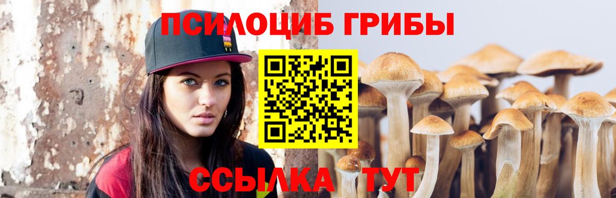 Галлюциногенные грибы Psilocybine cubensis Фролово